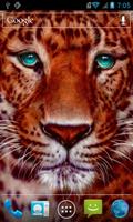 Beautiful tiger Affiche