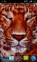 Beautiful tiger captura de pantalla 1