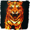 Violent tiger live wallpaper