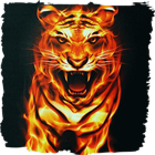 Icona Violent tiger live wallpaper