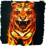 Violent tiger live wallpaper ikon