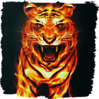 Violent tiger live wallpaper icône