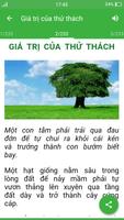 Hạt Giống Tâm Hồn plakat