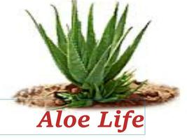 Aloe Life poster