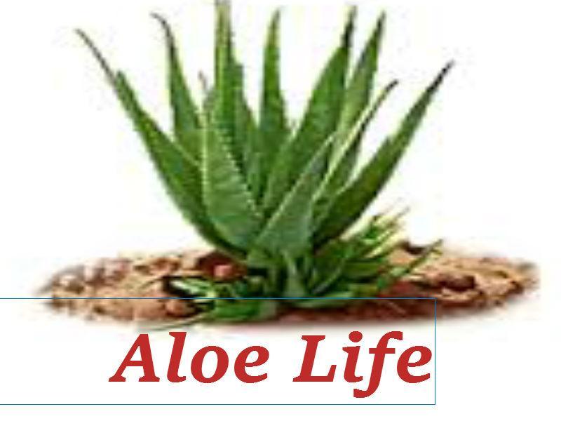 Aloe Life. Приложение алоэ
