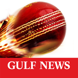 Gulf News Cricket icône