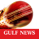 Gulf News Cricket APK