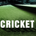 Cricket Tracker