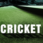 Cricket Tracker 아이콘