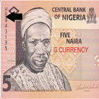 African Currency Notes icon