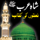 All Naat Book Shah E Arab-APK