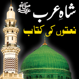 All Naat Book Shah E Arab icon