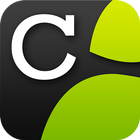Capillary-icoon