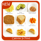 Calories In Food icône