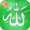 Asmaul Husna with Audio - 99 N APK