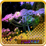 Magical Forest Wallpaper Best Quality APK
