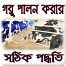 গরু পালন পদ্ধতি APK