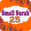 25 Small Surah of The Quran APK
