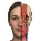 Interactive Anatomy icône