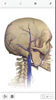 Interactive Anatomy Ekran Görüntüsü 3