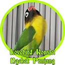 Lovebird Konslet Ngekek Panjang Offline APK