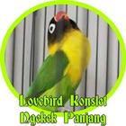 Lovebird Konslet Ngekek أيقونة