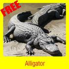 Alligator ícone