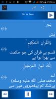 Surah Yaseen Urdu capture d'écran 1