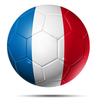 EURO 2016 icône