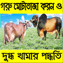 গরু পালন পদ্ধতি-APK