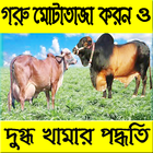 গরু পালন পদ্ধতি 아이콘