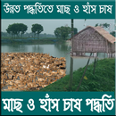 মাছ ও হাঁস চাষ পদ্ধতি-APK