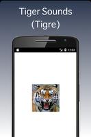 Tiger Sounds - Tigre Affiche