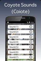 Coyote Sounds - Coiote capture d'écran 1