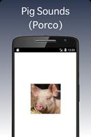 Pig Sounds Affiche