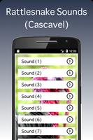 Rattlesnake Sounds - Cascavel syot layar 1