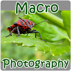 Macro Photography ícone
