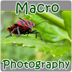 Macro Photography