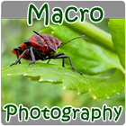 Macro Photography 아이콘