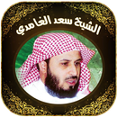 The Holy Quran El Ghamidi APK