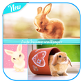 Cute bunny wallpaper