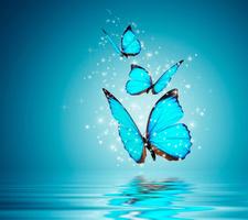 Butterfly Wallpapers Share स्क्रीनशॉट 2