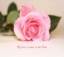 3 Schermata Love Quotes Saint Valentine