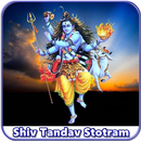 Shiv Tandav Stotra Audio Hindi - Gujarati APK