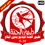 طيور الجنة فيديو بدون ايقاع