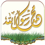 السيرة النبوية