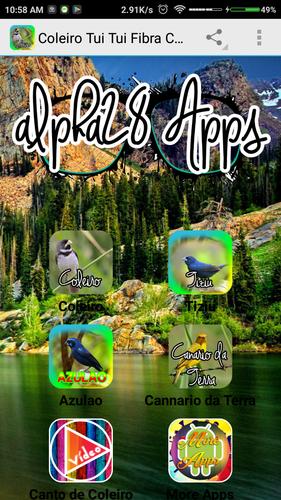 Baixar Canto Coleiro Tui Tui Fibra Canto De Coleiro Tui Tui For Android Apk Download