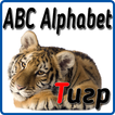 Abc - Alphabet