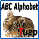 Abc - Alphabet APK