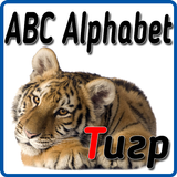 Abc - Alphabet icône